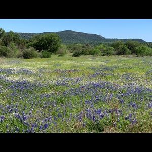 Meet your Posher, George